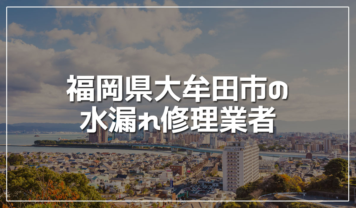 大牟田市のイメージ
